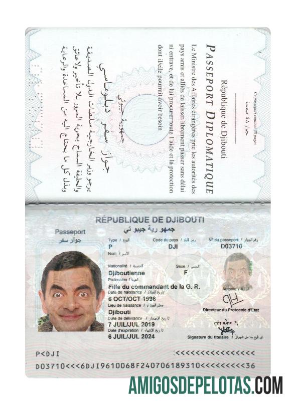 Passaporte do Djibuti amostra